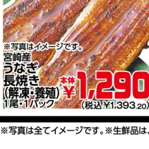 うなぎの蒲焼き