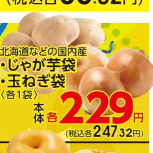 たまねぎ