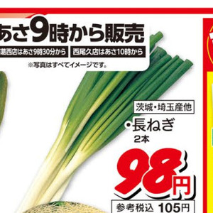 ながねぎ