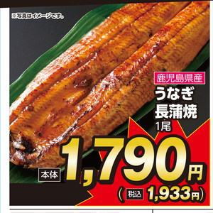 うなぎの蒲焼き