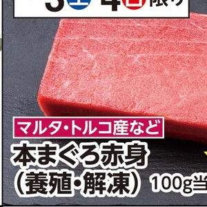 ほたて（ベビー）