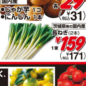 ながねぎ