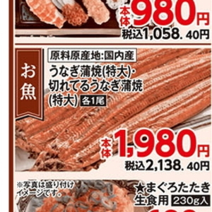 うなぎの蒲焼き