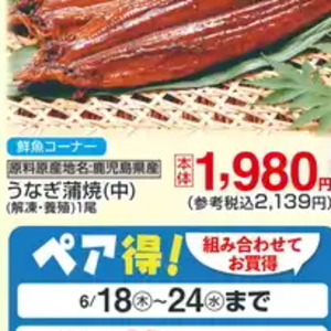 うなぎの蒲焼き