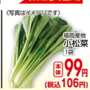 こまつ菜