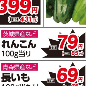 レンコン