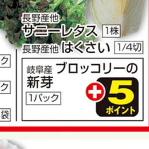 ブロッコリースプラウト