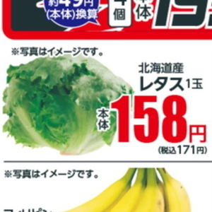 レタス