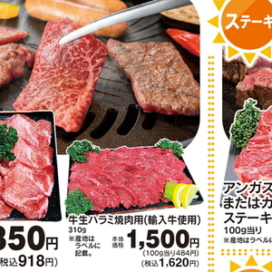 牛肉ハラミ