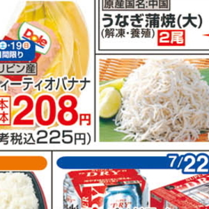 しらす