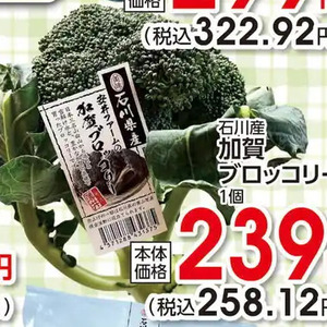 ブロッコリー