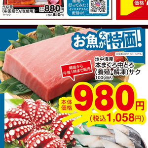 まぐろ中とろ