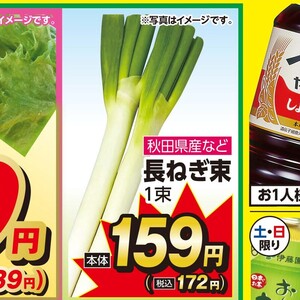 ながねぎ