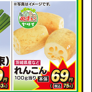 レンコン