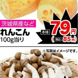 レンコン
