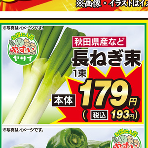 ながねぎ