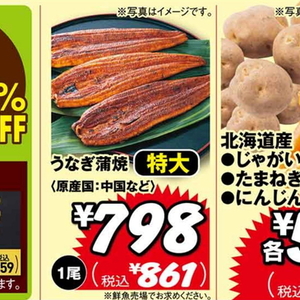 うなぎの蒲焼き