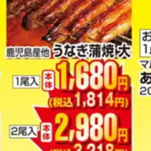 うなぎの蒲焼き