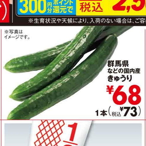きゅうり