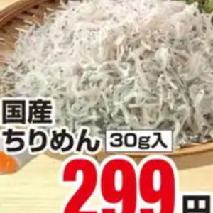 しらす