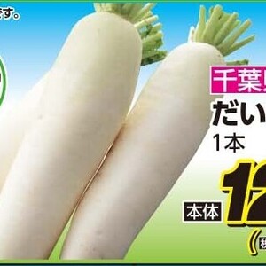 だいこん