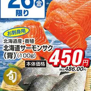 サーモン（さく取り）