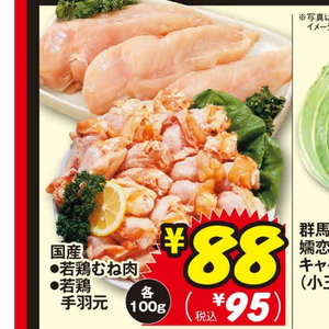 鶏手羽元