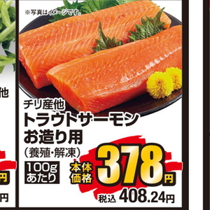 サーモン（刺身）