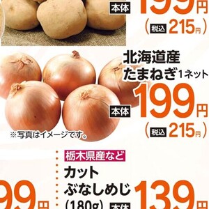 たまねぎ