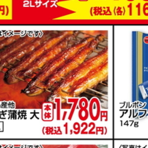 うなぎの蒲焼き