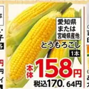 とうもろこし