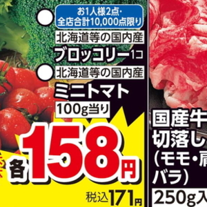 ブロッコリー