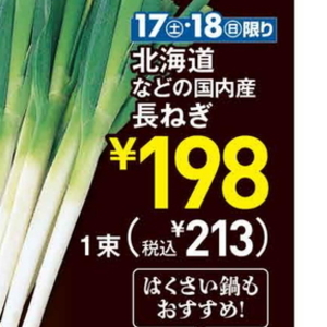 ながねぎ