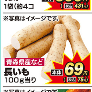 ながいも