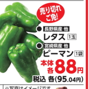 ピーマン