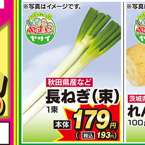ながねぎ