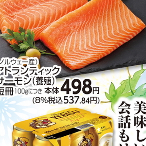 サーモン（さく取り）