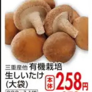 しいたけ