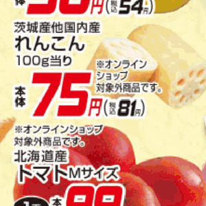 レンコン