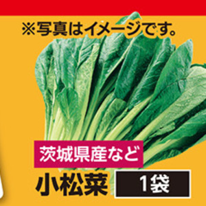 こまつ菜