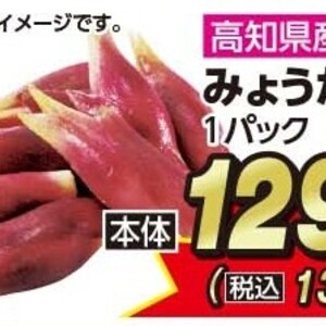 みょうが