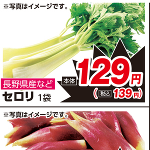 セロリ