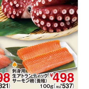 サーモン（刺身）