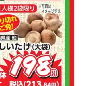 しいたけ