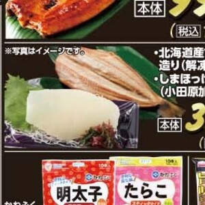 いか（刺身）