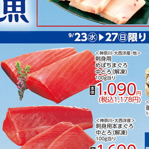 まぐろ中とろ