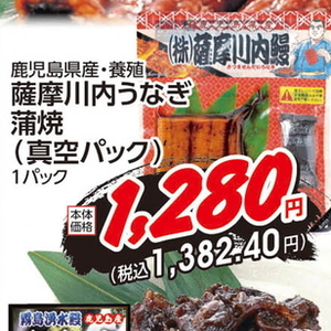 うなぎの蒲焼き