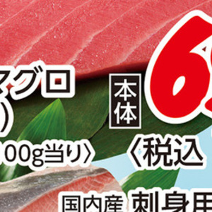まぐろ赤身
