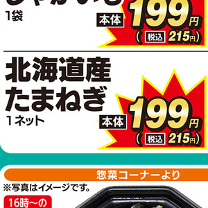 たまねぎ