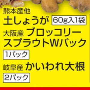 ブロッコリースプラウト